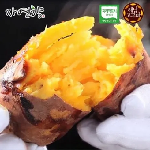 해남 꿀고구마 3.5kg3.5kg 할인 공유