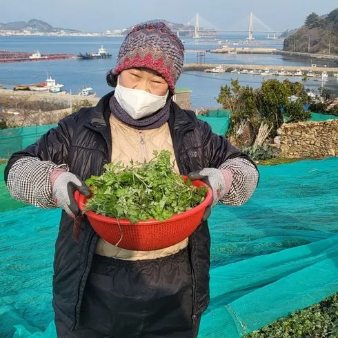 추천드리는 거문도해풍쑥 생쑥개떡 70개 이걸로 종결